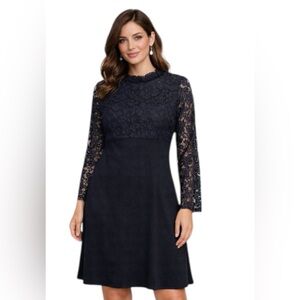 Lark & Ro Black Lace Dress Size 8 Long Sleeve Empire Waist